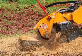 Best Weed Control  in Morristown, NJ
