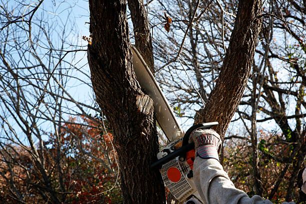 Soil Testing and Treatment in Morristown, NJ